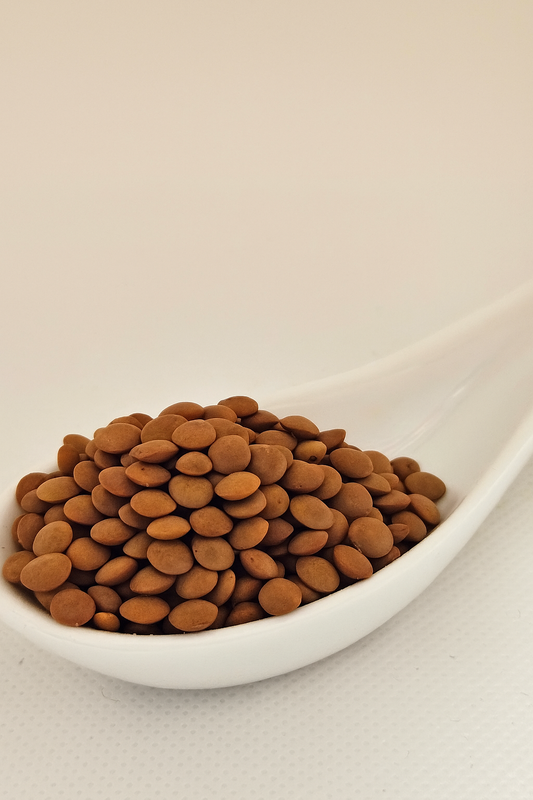 Lenteja castellana 250 gr
