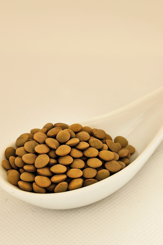 Lenteja Pardina 250gr